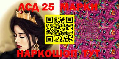 шишки Кингисепп