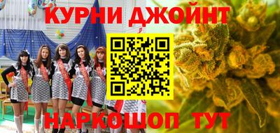 шишки Кингисепп