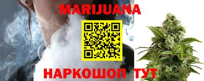 шишки Кингисепп