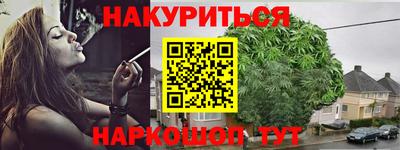 шишки Кингисепп