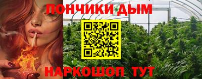 шишки Кингисепп