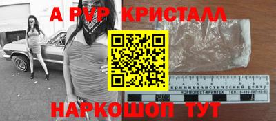шишки Кингисепп