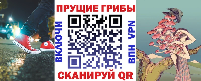 Псилоцибиновые грибы Cubensis Кимры
