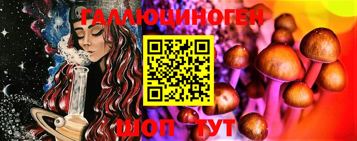 Кимры  Галлюциногенные грибы Psilocybine cubensis  Вход с VPN 