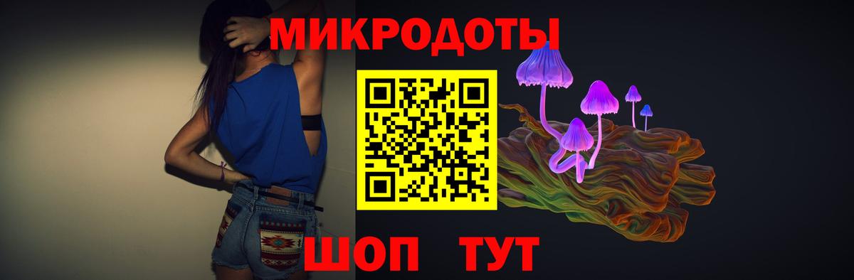 Псилоцибиновые грибы Psilocybe Кимры